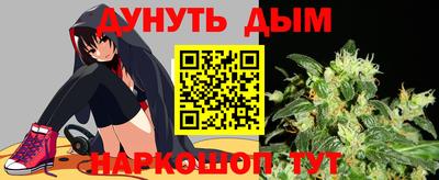apvp Бийск